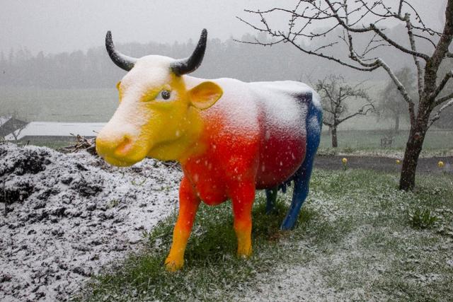 欧洲多国迎降雪 天然气价格猛涨