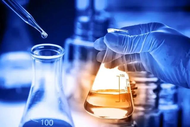 我区科研团队在调控谷子穗部及侧根发育基础研究方面取得最新成果