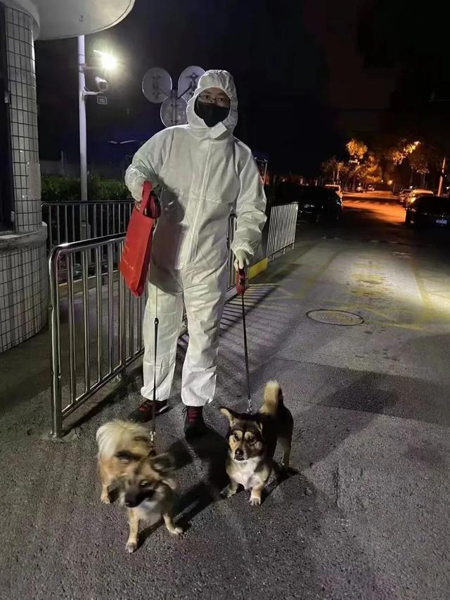 #上海宠物救助# #上海宠物救助#