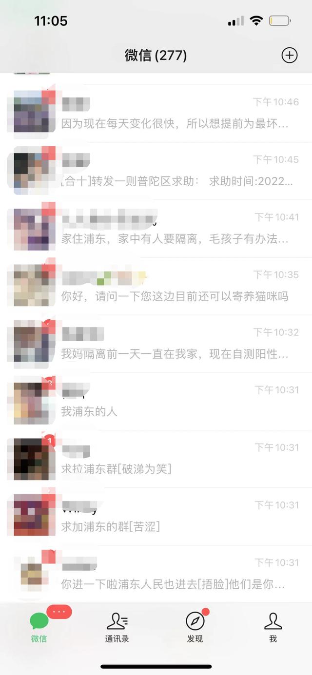 上海一小区宠物狗被扑杀居委会回应 上海一小区宠物狗被扑杀居委会回应