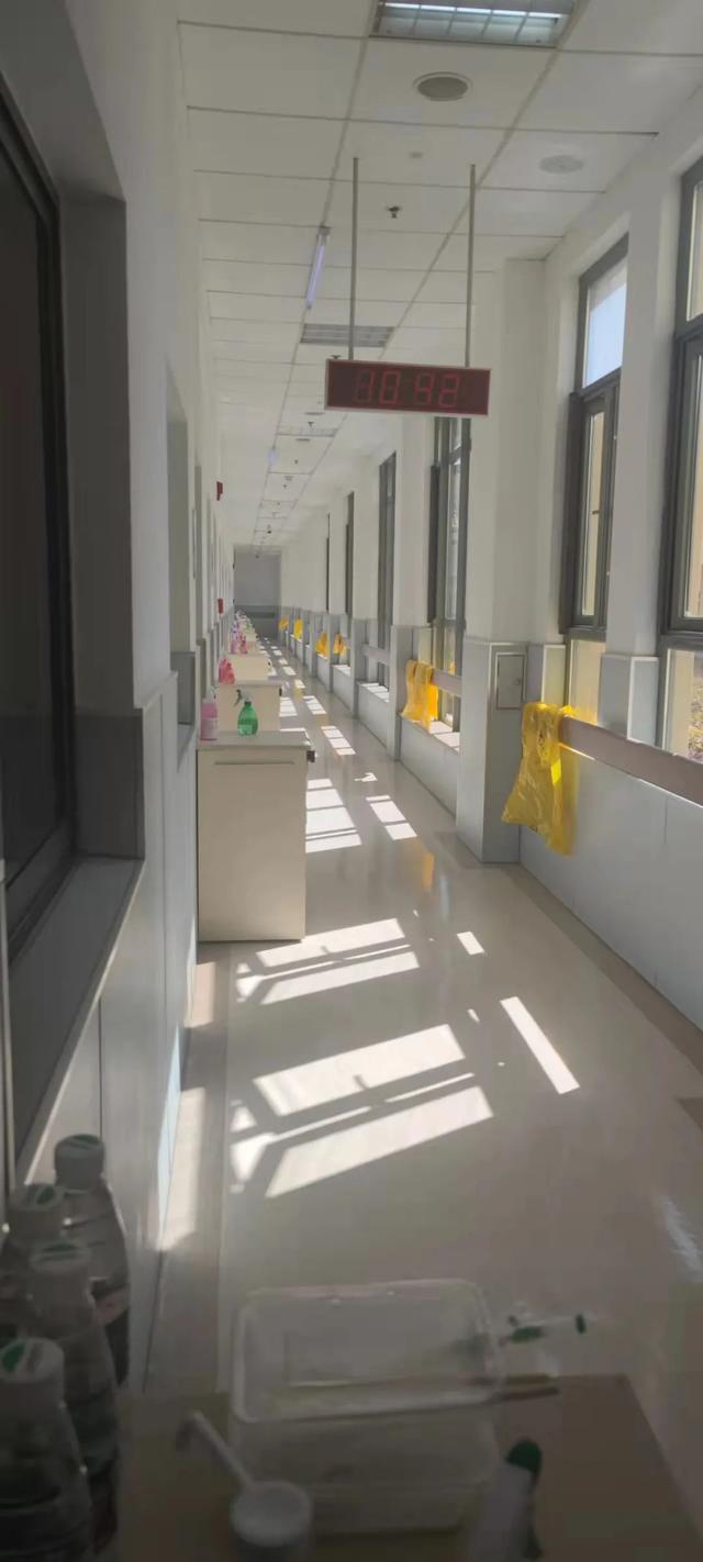 #上海宠物救助# #上海宠物救助#