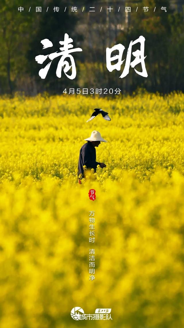 今日清明，酌杯杏花酒，与春天同行｜城市摄影队