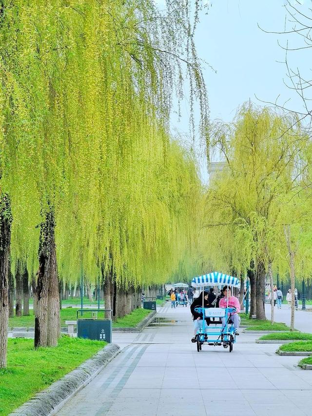 今日清明，酌杯杏花酒，与春天同行｜城市摄影队