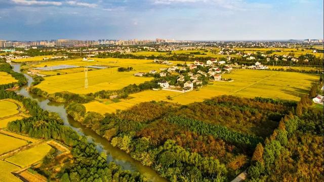 氛围感拉满！浙江这些宝藏乡村，春天一秒入画，出圈又出片