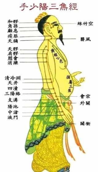 养生十二时辰