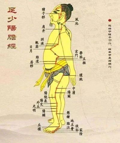养生十二时辰