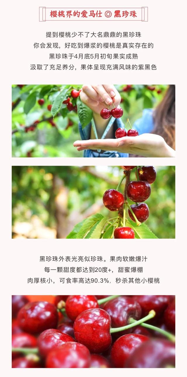果园说 | 人生皆苦，你是什么味？