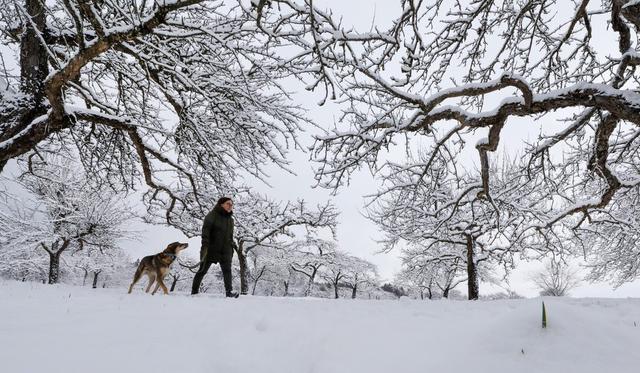 德国巴登-符腾堡州迎降雪 利希滕斯坦城堡雪景美如画