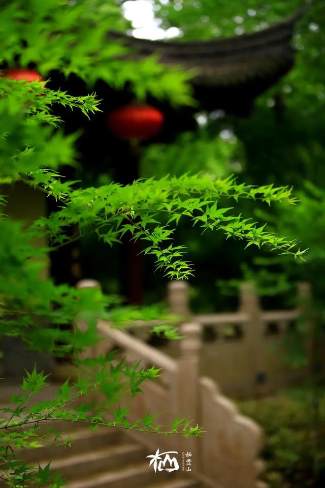 【栖语堂】 在复杂的世界里，和简单的人在一起
