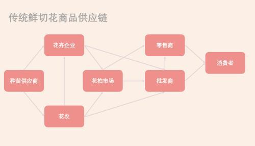 跟鲜花有关的创业「鲜花都卖光了,我种一束给你吧」