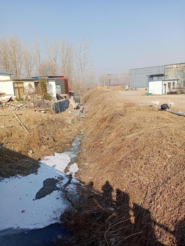 十全十美大才子是什么生肖 十全十美大才子是什么生肖（十全十美是什么生肖动物） 生活