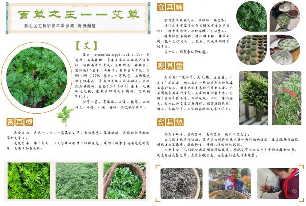 “线上科普”传递抗疫力量 位育初级中学科技节活动（三）