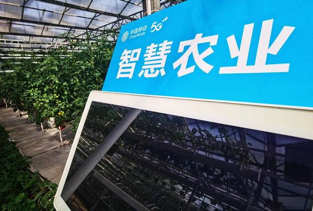 馥郁蔬香迎盛会！第二十三届中国（寿光）国际蔬菜科技博览会开幕