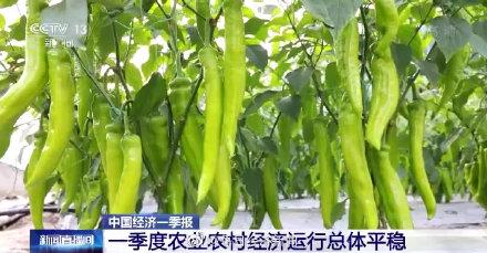 农业农村部：一季度农民人均可支配收入5778元