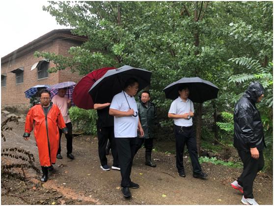 山东省地矿局五院全力保障泰山区域山水林田湖草生态保护修复工程