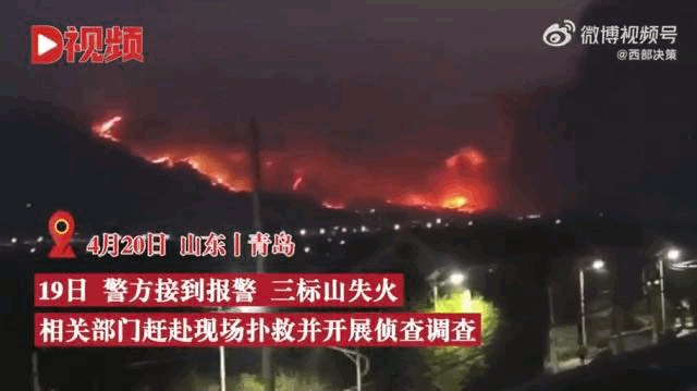 扑救持续一夜！男子乱扔烟头引发青岛三标山山火，大风导致复燃