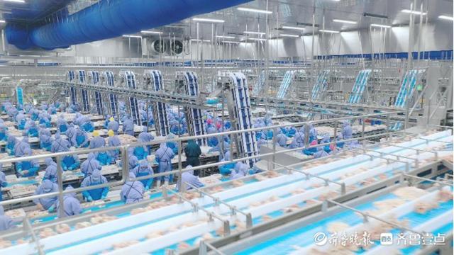 阳谷今年筛选实施重点项目80个，高标准推动黄河流域高质量发展