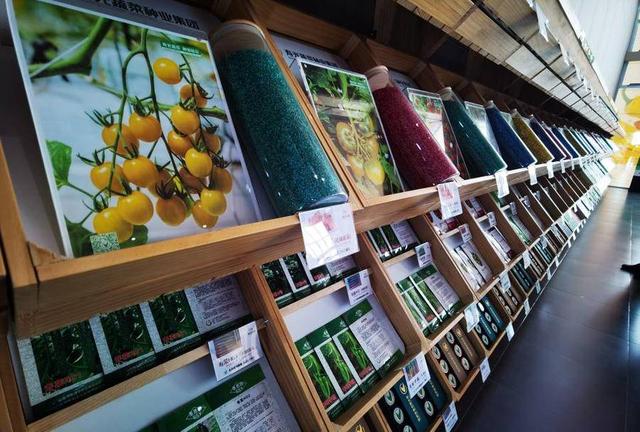 4455个优良品种逐鹿种博会，仅番茄品种就有两千多种