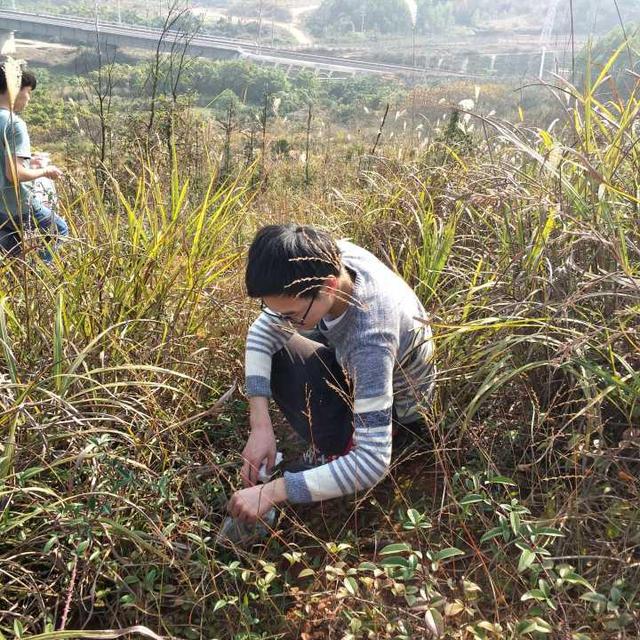 技能与学历兼具，职教学子走出专-本-硕学历提升之路