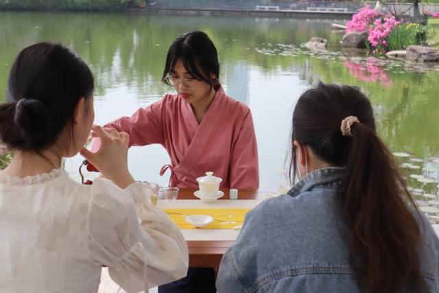 “谷雨”时节，这群大学生在“全民饮茶日”采茶制茶品茶