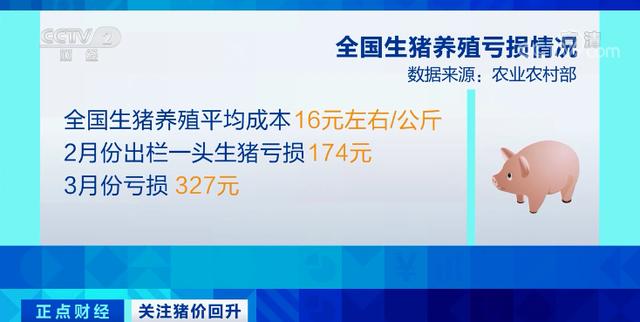 涨！涨！涨！猪肉价格，反弹了！为什么？接下来怎么走→