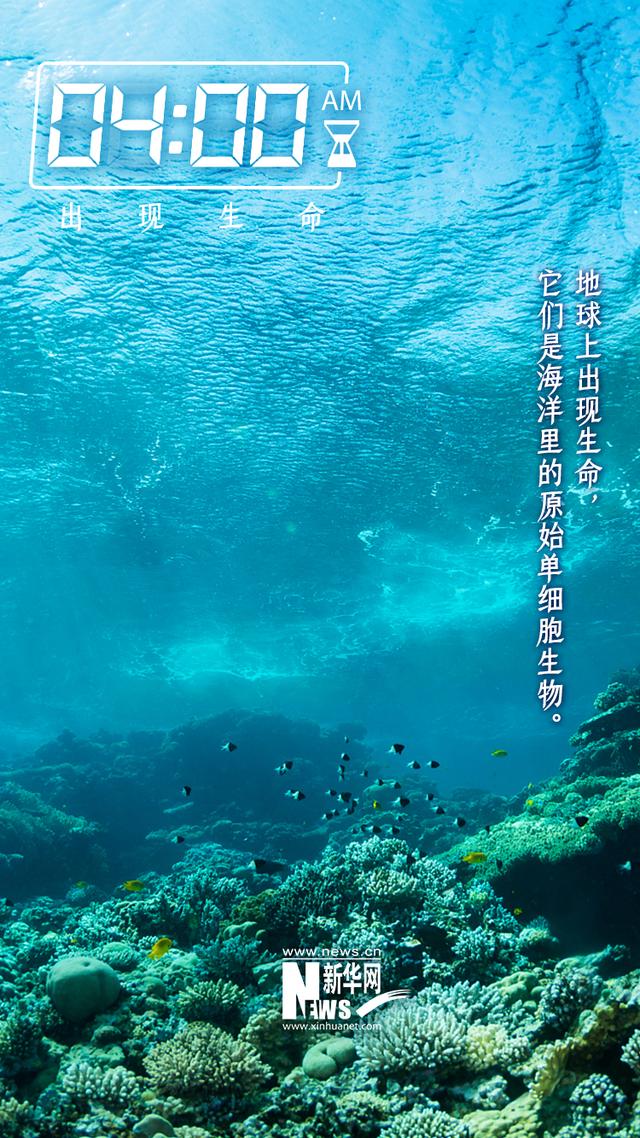 世界地球日丨如果用24小时穿越46亿年