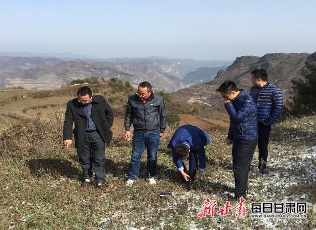 甘肃银行一季度投放59亿元助力全省春耕生产