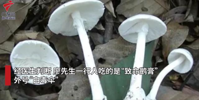 经常提醒还是有人中招，恩平市民要慎吃这种食物