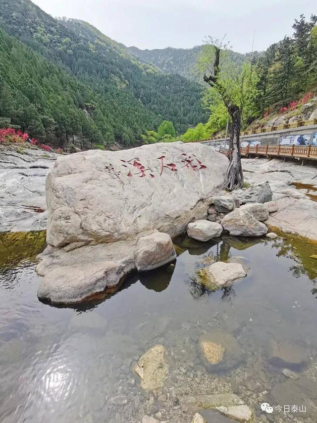 泰安入春以来最大范围沙尘，4月23日结束，气温继续升