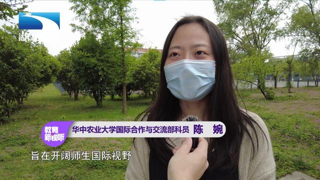 湖北教育新闻｜谷雨寻茶：华中农大师生“沉浸式”采茶制茶