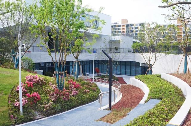 正式开放！丽水首个以“市花”杜鹃为主题的城市公园来了
