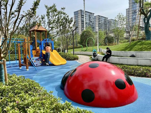 正式开放！丽水首个以“市花”杜鹃为主题的城市公园来了