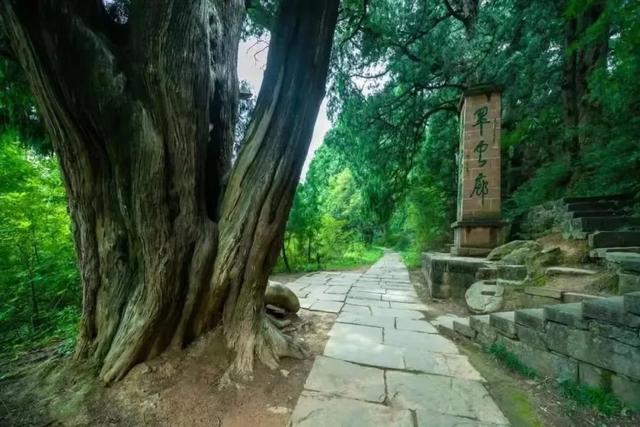 【五一“趣”剑阁】直接出发！四天三夜康养度假游已为您安排好~