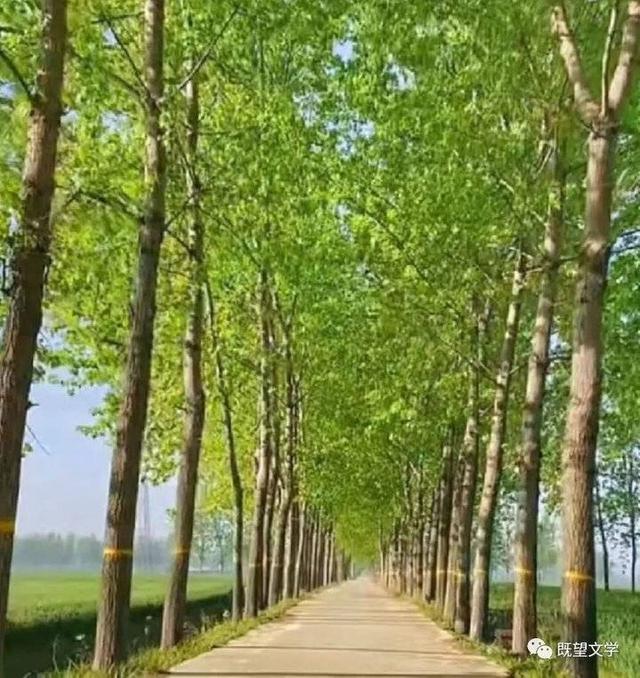 高克峰/农村老家