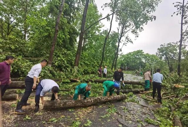 强风！暴雨！雷电！……面对突发灾害性天气，浙农林大人立即行动起来