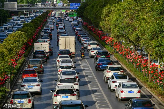 西安：南二环数公里隔离带月季盛放 城市公路变身鲜花大道