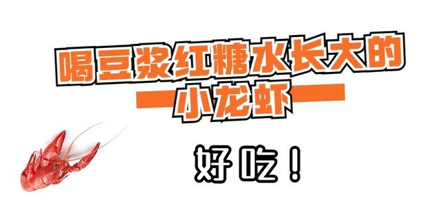 吃过冇？鄂州有种小龙虾喝豆浆红糖水长大