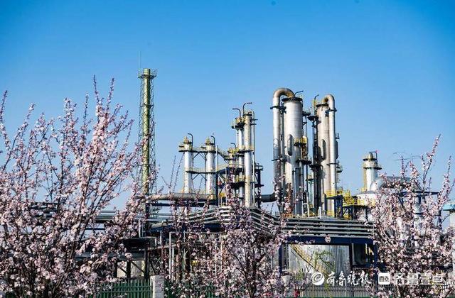深壹点丨乐陵盐碱洼地“长”出高精化工园