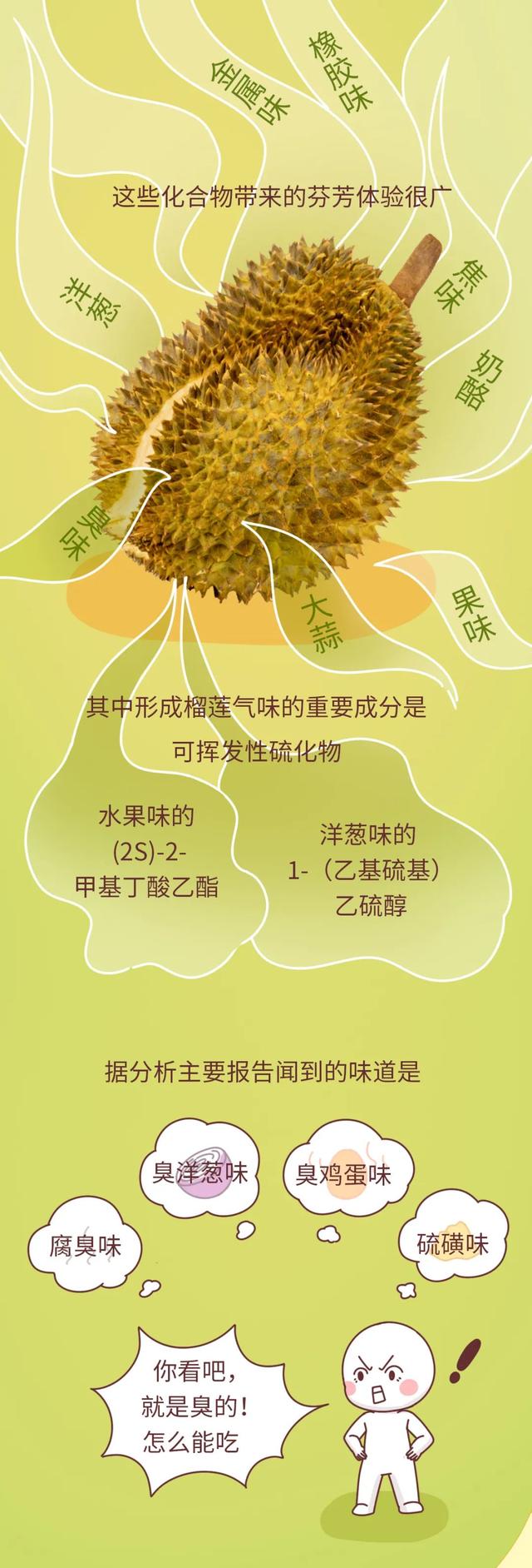 榴莲，一个臭臭香香的热量小炸弹