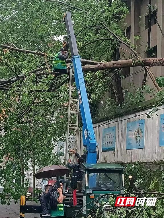 赫山区桃花仑街道：迅速清障 守护放学安全路