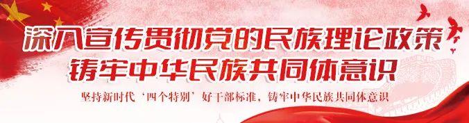 我区自主选育的“蒙乌薯”系列马铃薯新品种进入大田试验