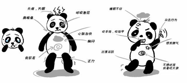 正宗小朋友情绪控制培养(小孩情绪控制培养)(图2)