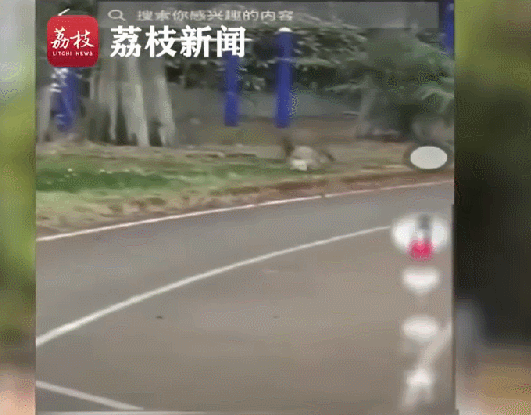 团伙流窜作案，一“成员”被抓！现场画面曝光