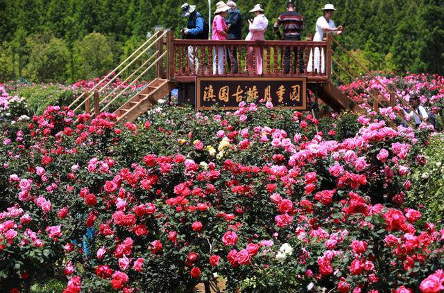 最高温下降8～10℃！明起，云南这些地方将迎降温降雨
