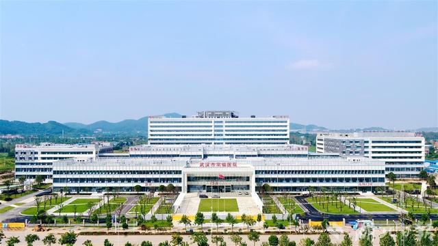 匠心显担当！中建科工三获湖北“五一”劳动奖项