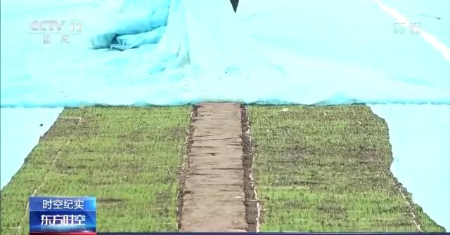 春耕大幕拉开 吉林省多措并举确保不让一亩地撂荒
