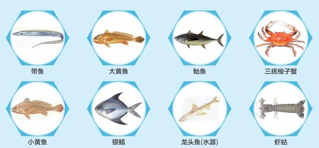 今天12时起禁渔！记者走访海鲜市场，价格变化帮你问清楚了