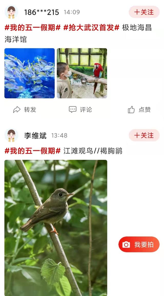 还不知道“五一”去哪里玩？快看看他们的花样假期