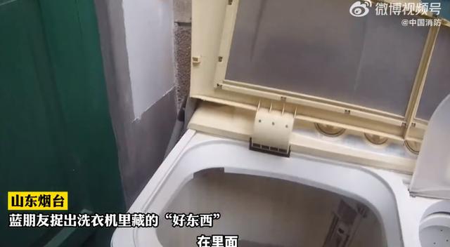山东女子洗衣机洗出一条蛇，吓得报警求助，消防员：这可是好东西