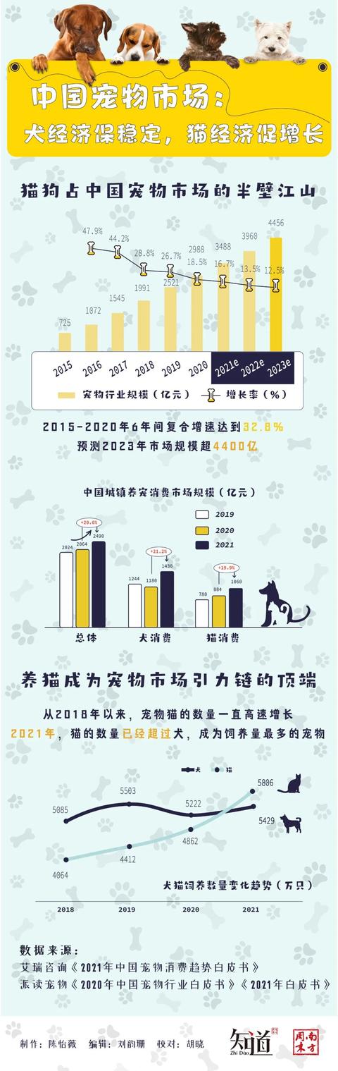 13岁男孩独居66天喂胖自己和猫狗